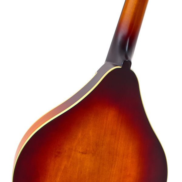 The Loar LM-110E-BRB