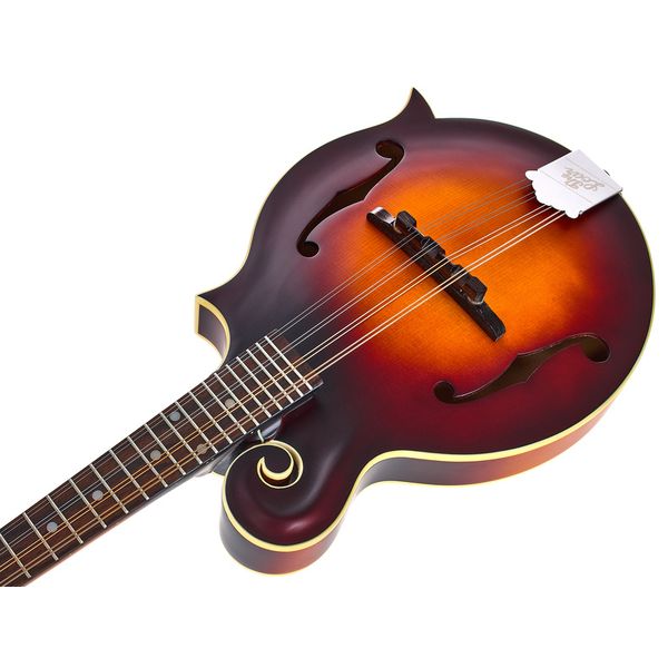 The Loar LM-310E-BRB