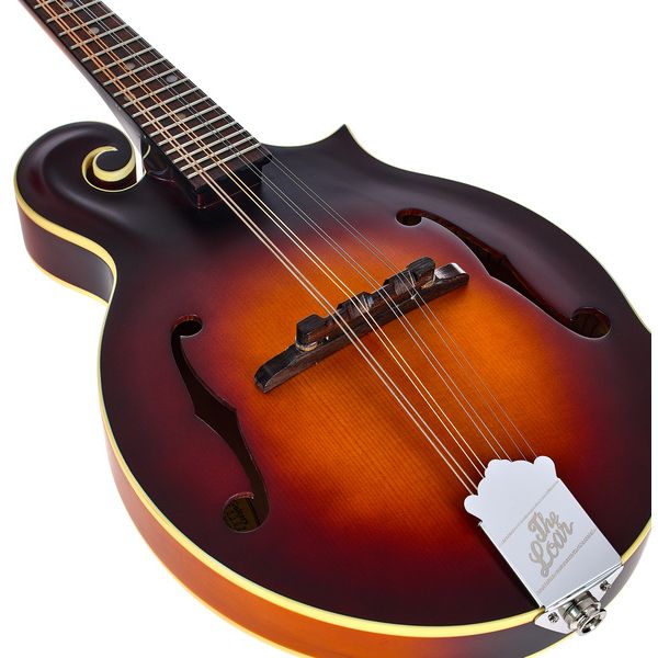 The Loar LM-310E-BRB