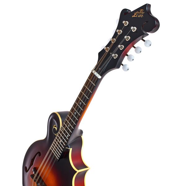 The Loar LM-310E-BRB