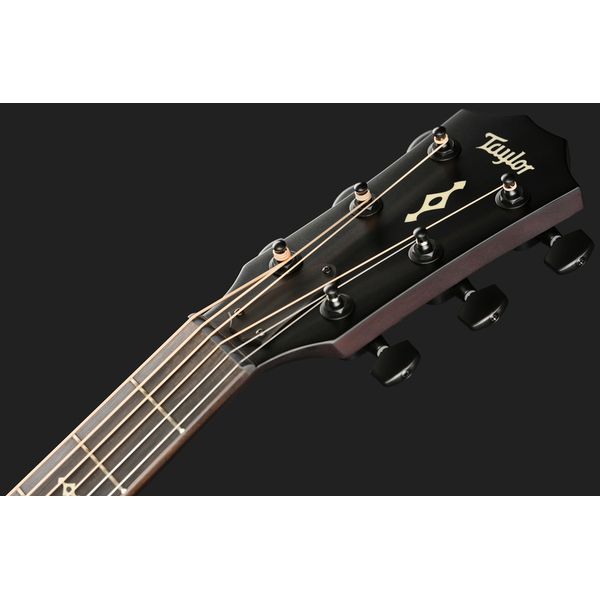 Taylor BE 324ce Next Generation