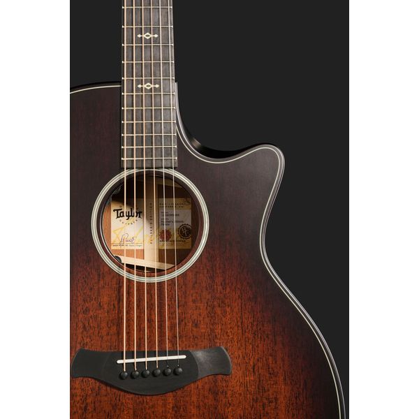 Taylor BE 324ce Next Generation