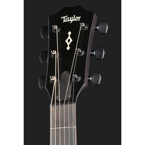 Taylor BE 324ce Next Generation