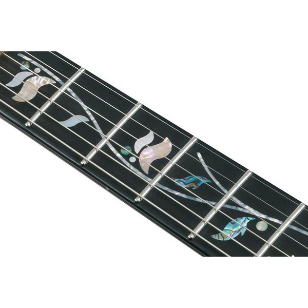 Ibanez IV2RG Visions RG