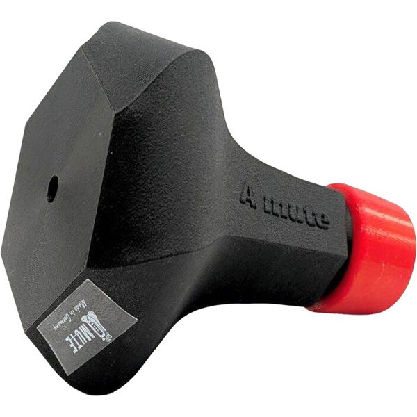 A Mute Trumpet Practice