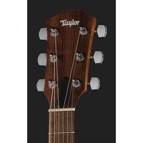 Taylor Academy 10e Walnut/Eucalyptus