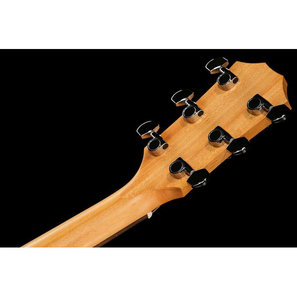 Taylor Academy 10e Walnut/Eucalyptus