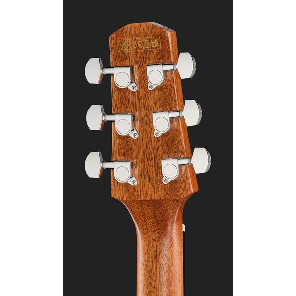 Ibanez AAD70CE-TBN