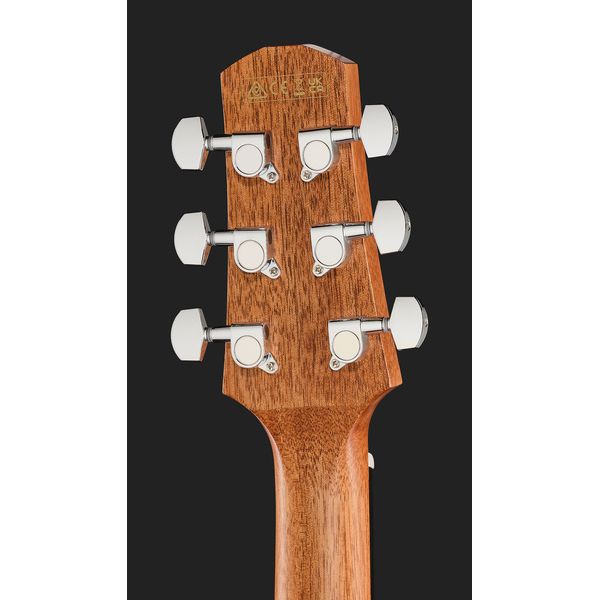 Ibanez AAD54E-OMH