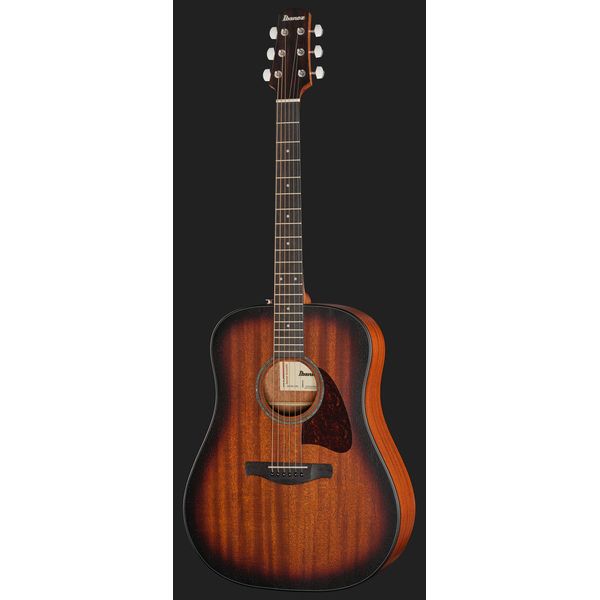 Ibanez AAD54E-OMH