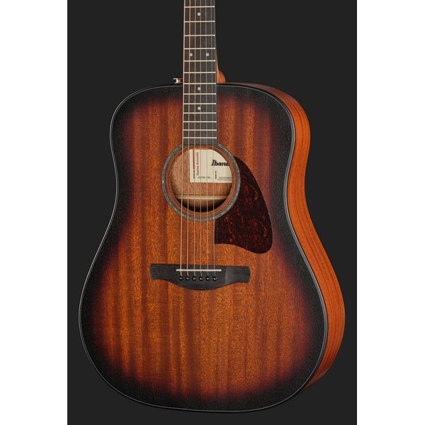 Ibanez AAD54E-OMH