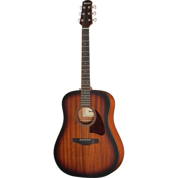 Ibanez AAD54E-OMH