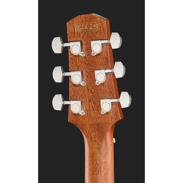 Ibanez AAD51CE-NT