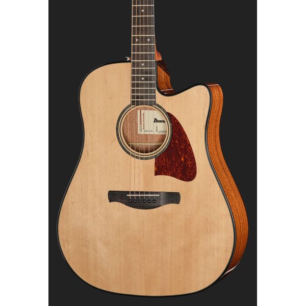 Ibanez AAD51CE-NT