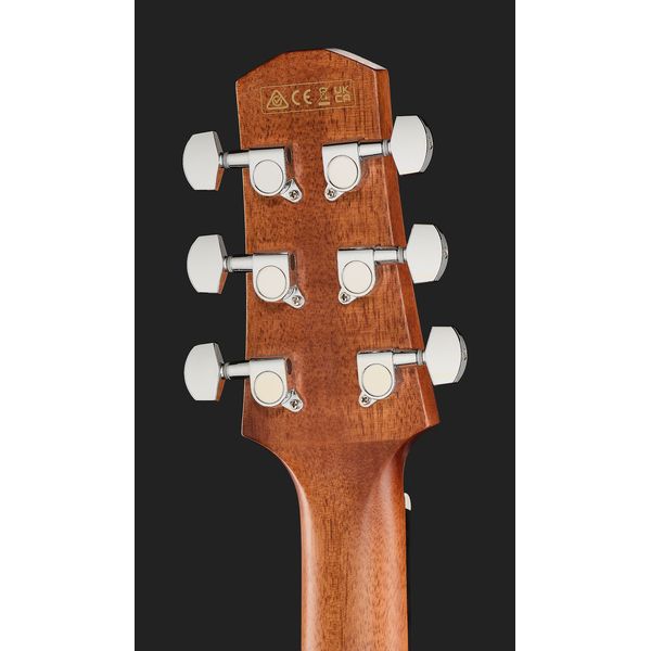 Ibanez AAD51LCE-DVS