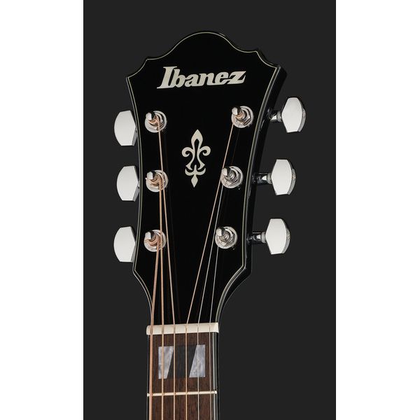 Ibanez AE170-TBK