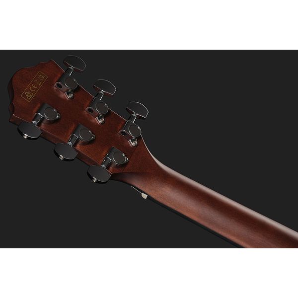 Ibanez AEWC16QA-TEH