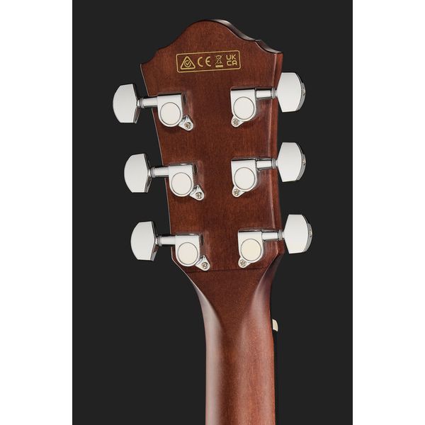 Ibanez AEWC16QA-TEH