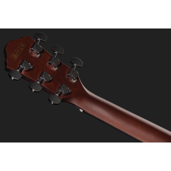 Ibanez AEWC16QA-TLH