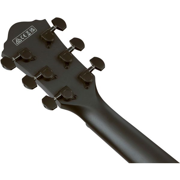 Ibanez AEG621-BOT