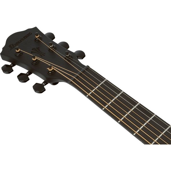 Ibanez AEG621-BOT