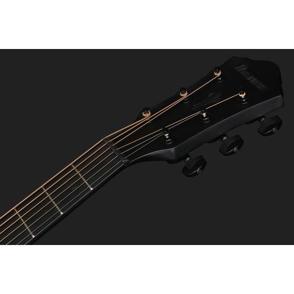 Ibanez AEG621-BOT