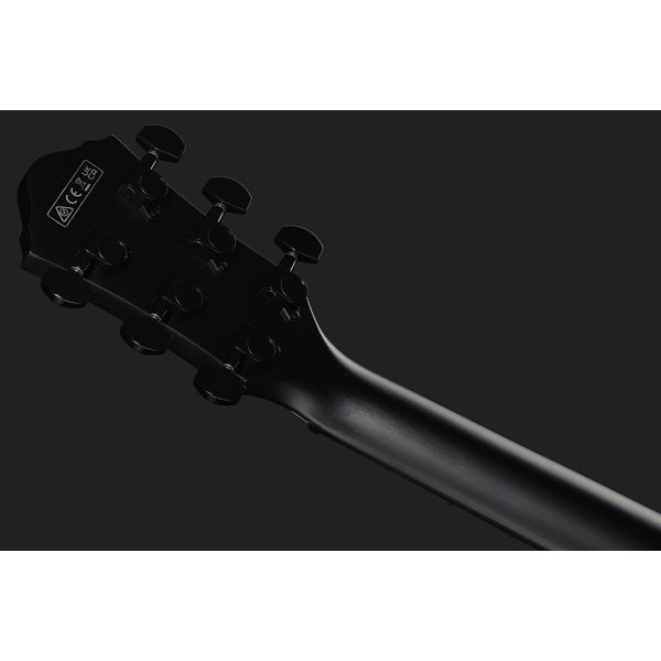 Ibanez AEG621-BOT