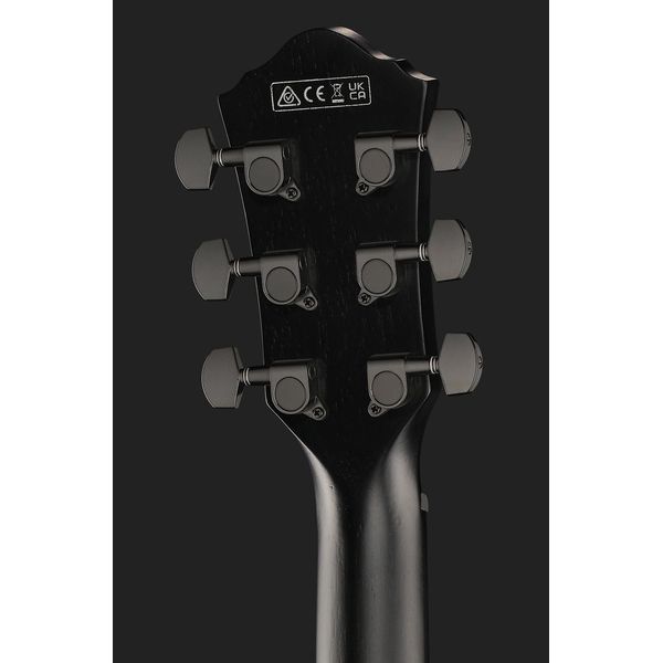 Ibanez AEG621-BOT