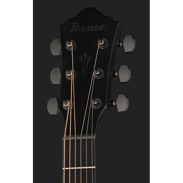 Ibanez AEG621-BOT