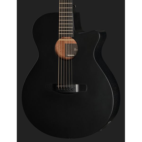 Ibanez AEG621-BOT