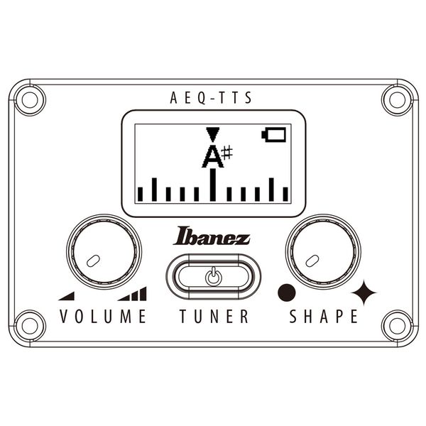 Ibanez AEG1221-BOT