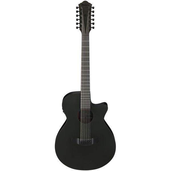 Ibanez AEG1221-BOT