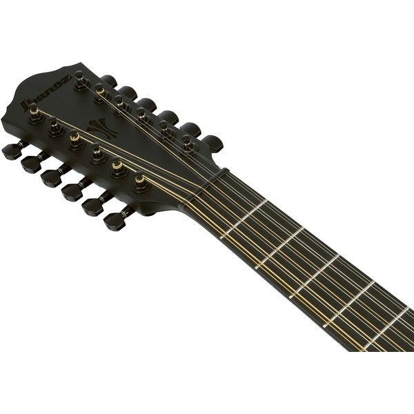 Ibanez AEG1221-BOT