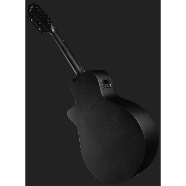Ibanez AEG1221-BOT
