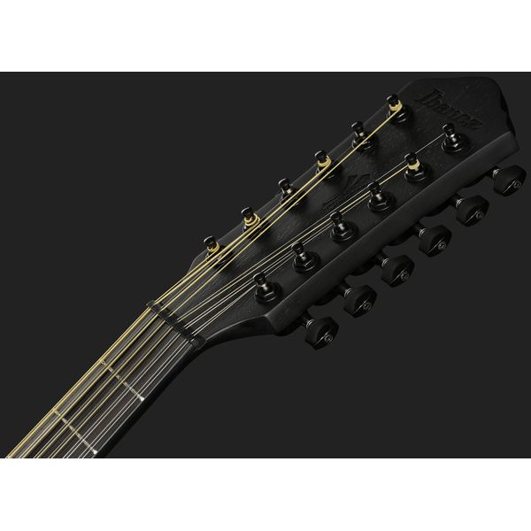 Ibanez AEG1221-BOT