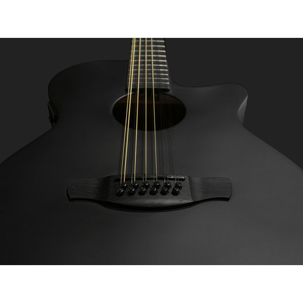 Ibanez AEG1221-BOT