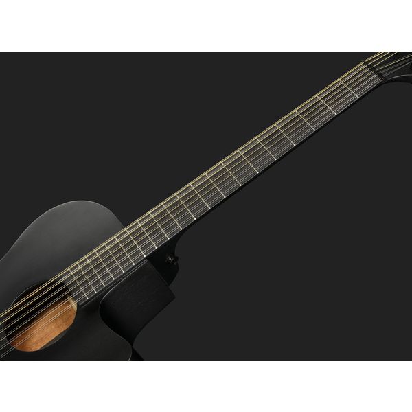 Ibanez AEG1221-BOT