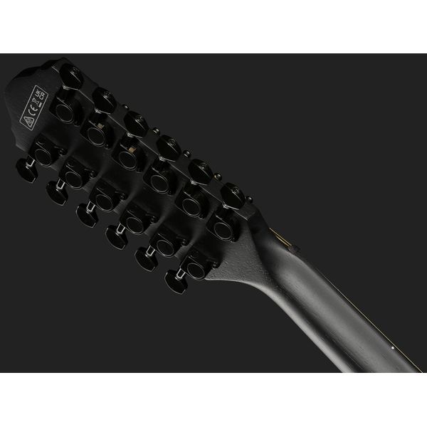 Ibanez AEG1221-BOT