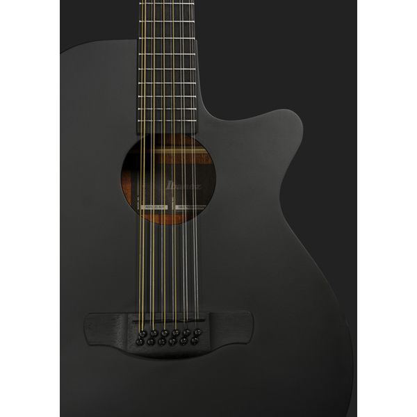 Ibanez AEG1221-BOT