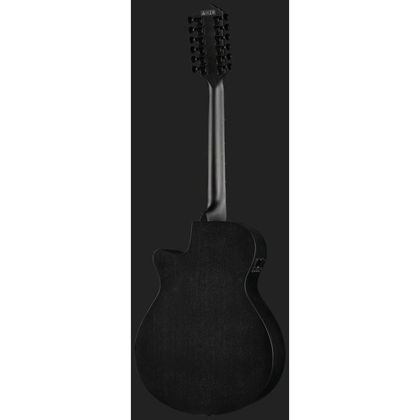 Ibanez AEG1221-BOT