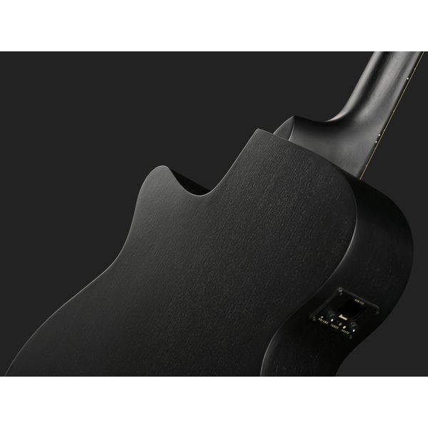 Ibanez AEG1221-BOT