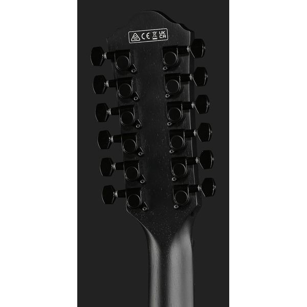 Ibanez AEG1221-BOT