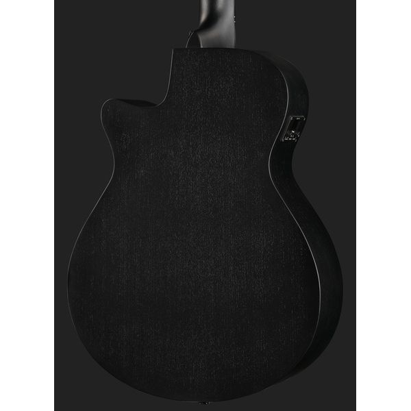 Ibanez AEG1221-BOT