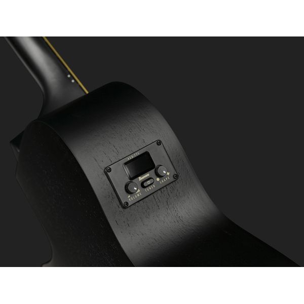 Ibanez AEG1221-BOT