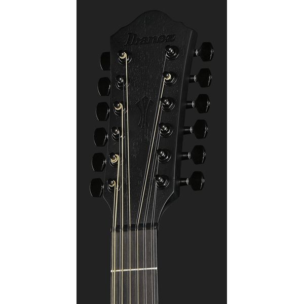 Ibanez AEG1221-BOT