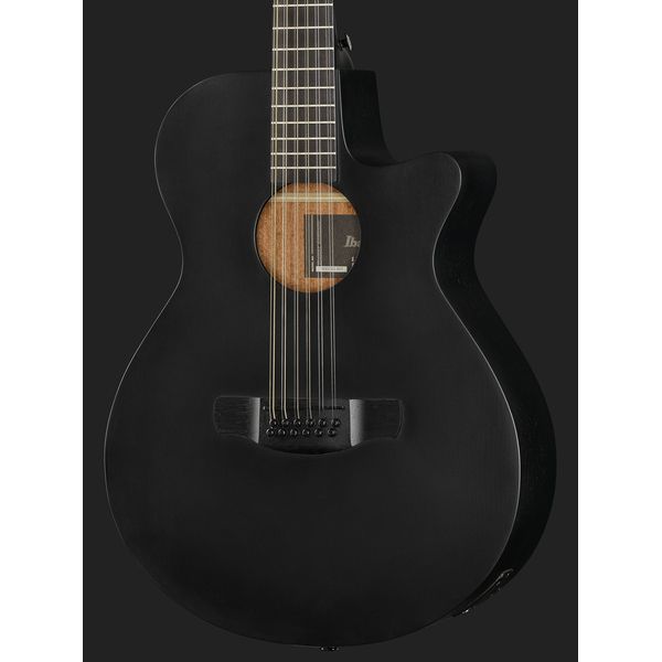 Ibanez AEG1221-BOT