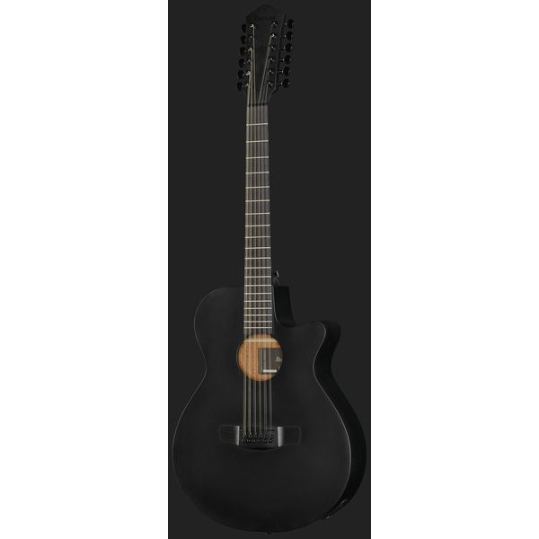 Ibanez AEG1221-BOT