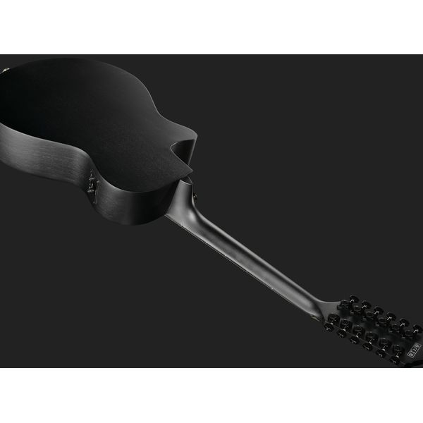 Ibanez AEG1221-BOT