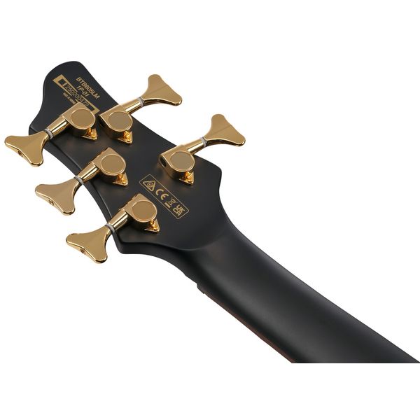 Ibanez BTB605LM-BKF