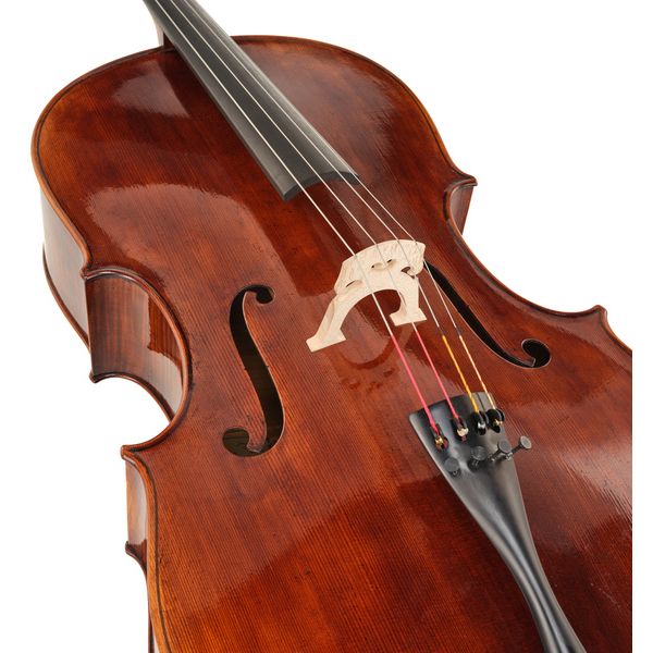 Thomas Stöhr Master Professional Montagnana